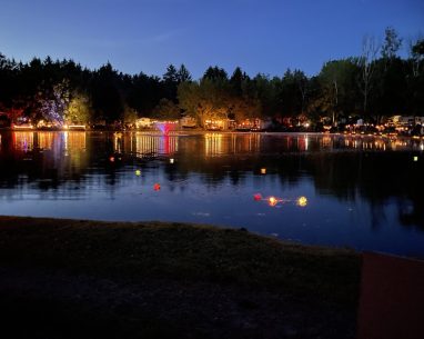 2024 Seasonal Highlights