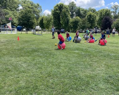 2024 Seasonal Highlights