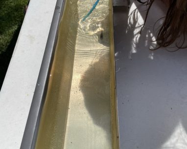 2024 Seasonal Highlights