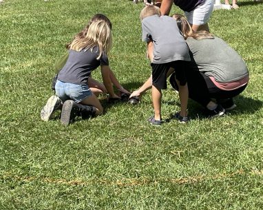 2024 Seasonal Highlights