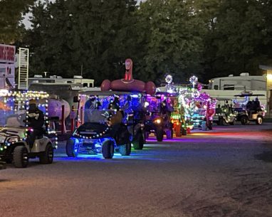 2024 Seasonal Highlights