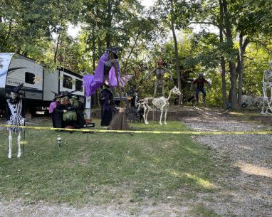 2024 Seasonal Highlights