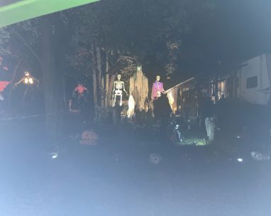 2024 Seasonal Highlights