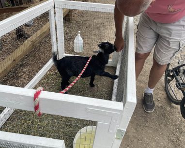 2025 Camping Season Gallery