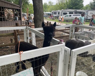 2025 Camping Season Gallery